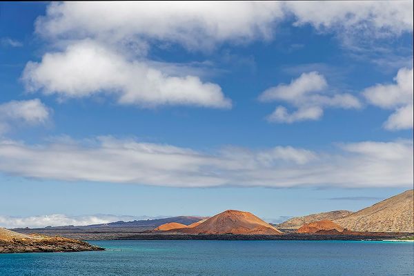 Jones, Adam 아티스트의 Shoreline of Santiago Island-Galapagos Islands-Ecuador작품입니다.